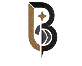 binsuda.store